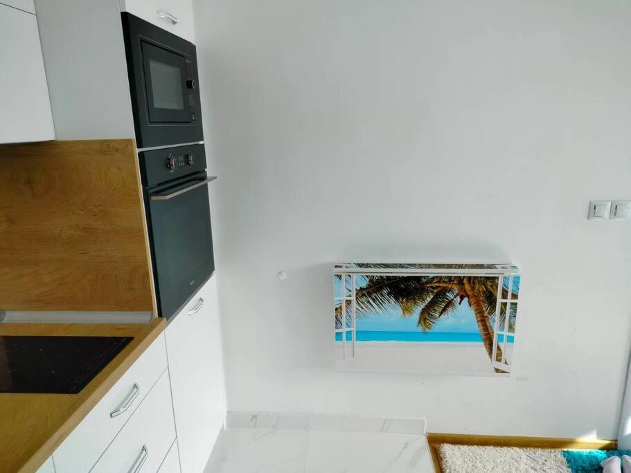 Apartament Alinik