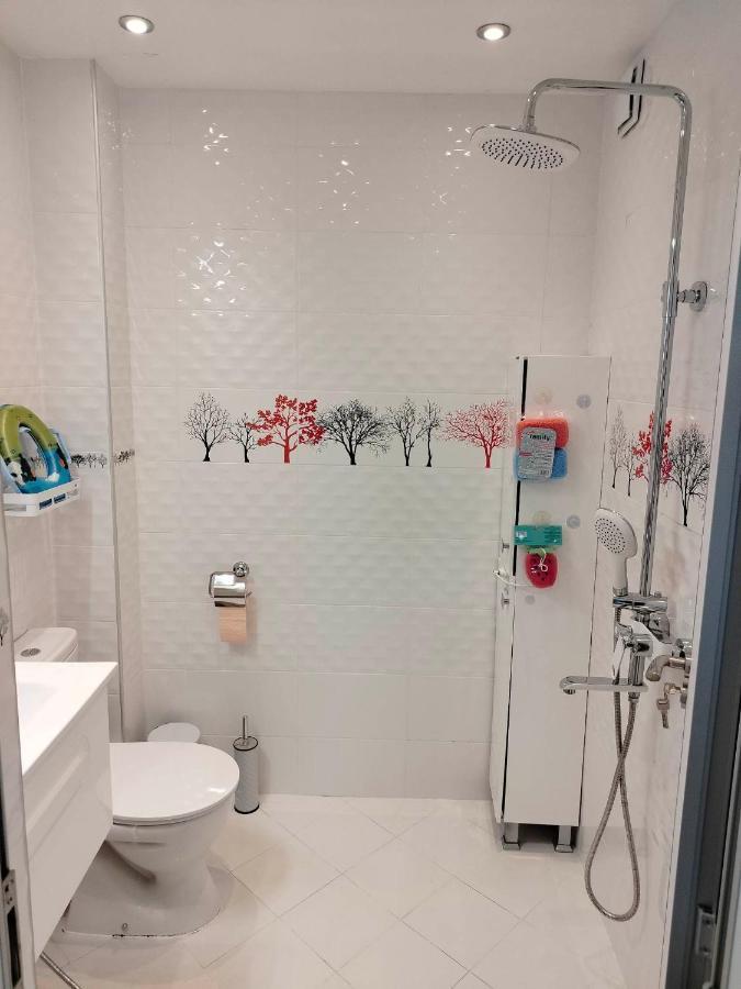Apartament Alinik