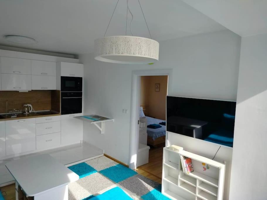 Apartament Alinik